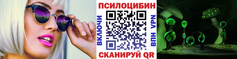 где найти   Сенгилей  Псилоцибиновые грибы мухоморы 